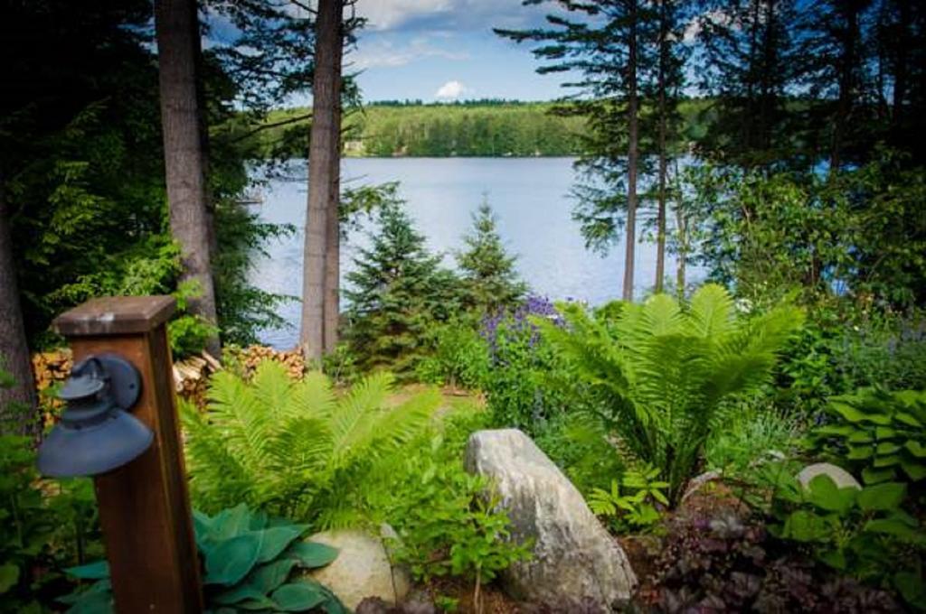 The Fern Lodge Chestertown Εξωτερικό φωτογραφία