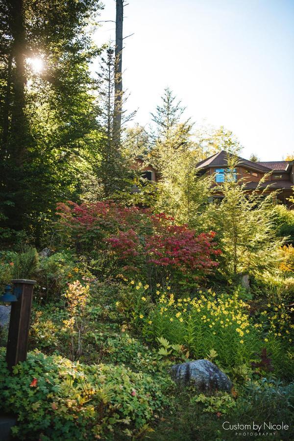 The Fern Lodge Chestertown Εξωτερικό φωτογραφία